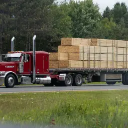 Flatbed